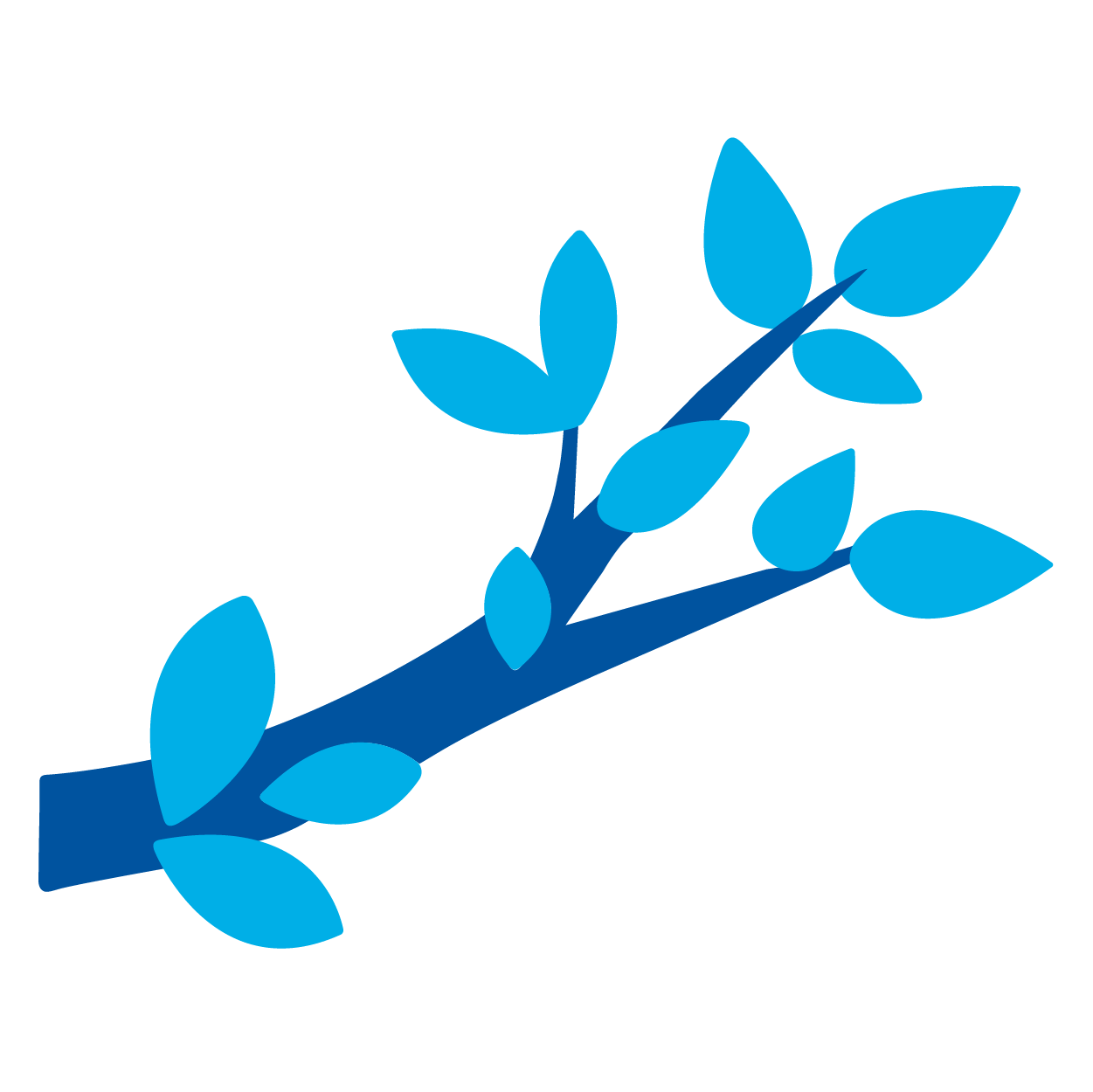 Tree Branches