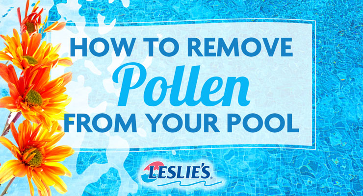 How To Remove Pollen From Your Pool