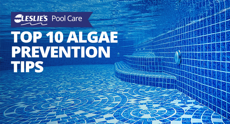Leslie's Top 10 Algae Prevention Tips