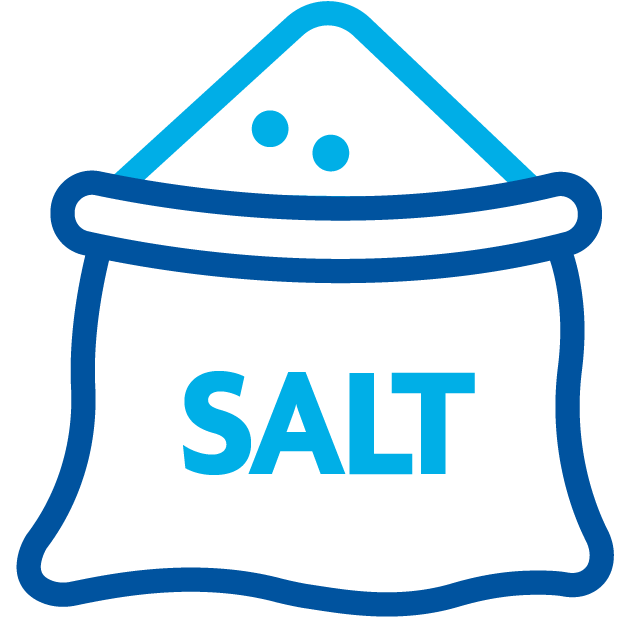 Pool Salt Systems