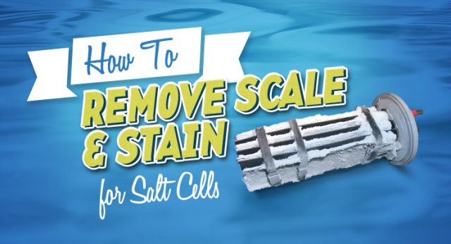 How to Remove Scale & Stain from Salt Cells