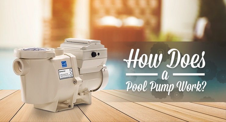 How Does a Pool Pump Work