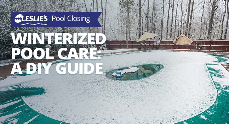 Winterized Pool Care: A DIY Guide