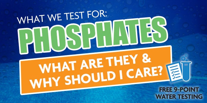 Phosphates - All You Need To Knowthumbnail image.