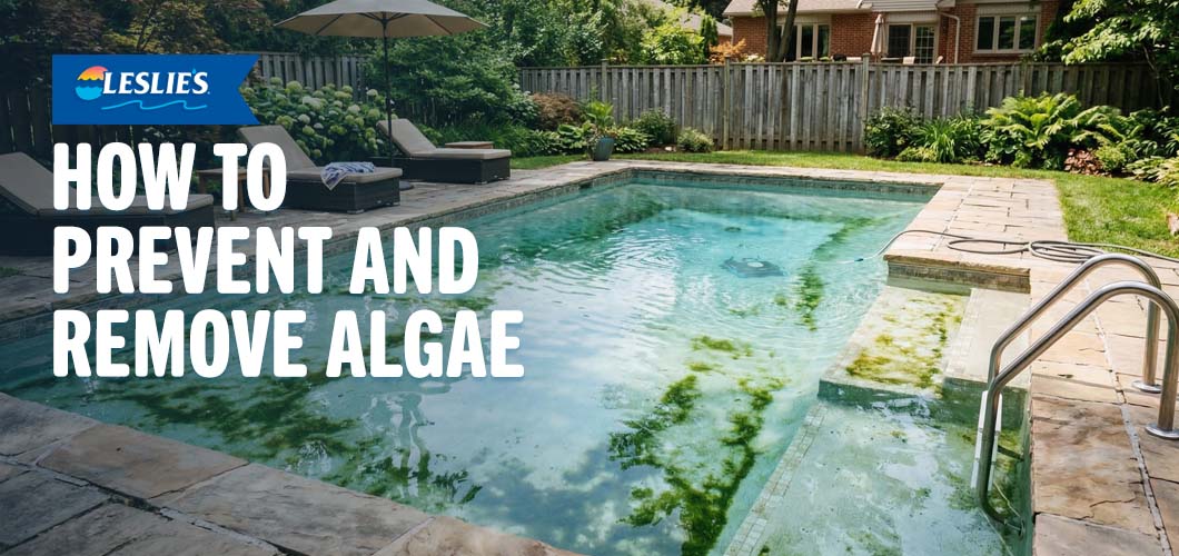How to Prevent and Remove Algaethumbnail image.