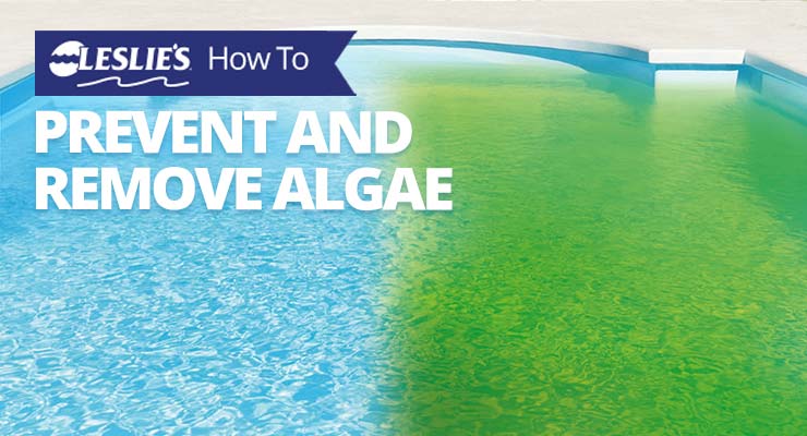 Prevent and remove pool algae