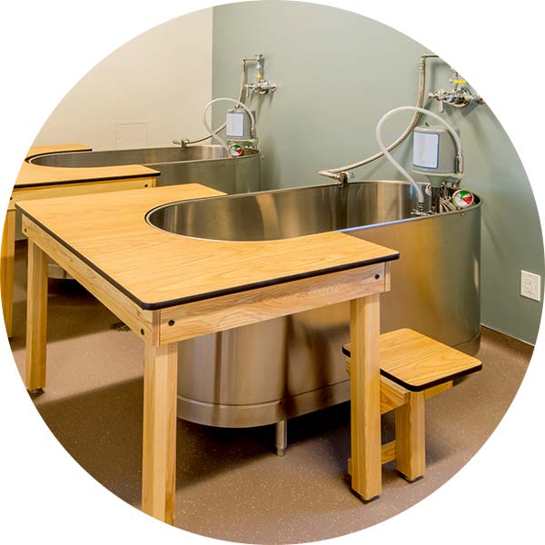 therapy tub in an athletic center