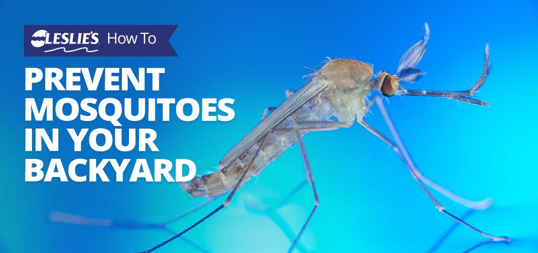 Prevent mosquitoes deals