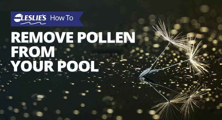 How to Remove Pollen from Your Poolthumbnail image.
