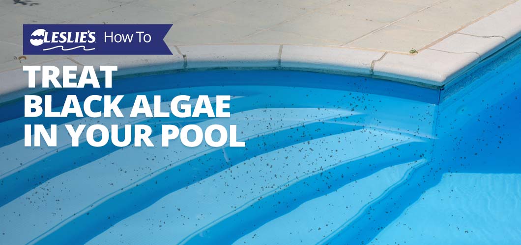 how-to-treat-black-algae-in-your-pool