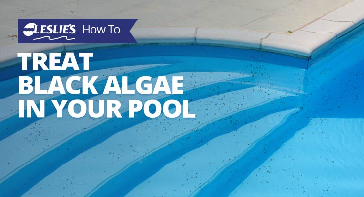 How to Treat Black Algae in Your Poolthumbnail image.