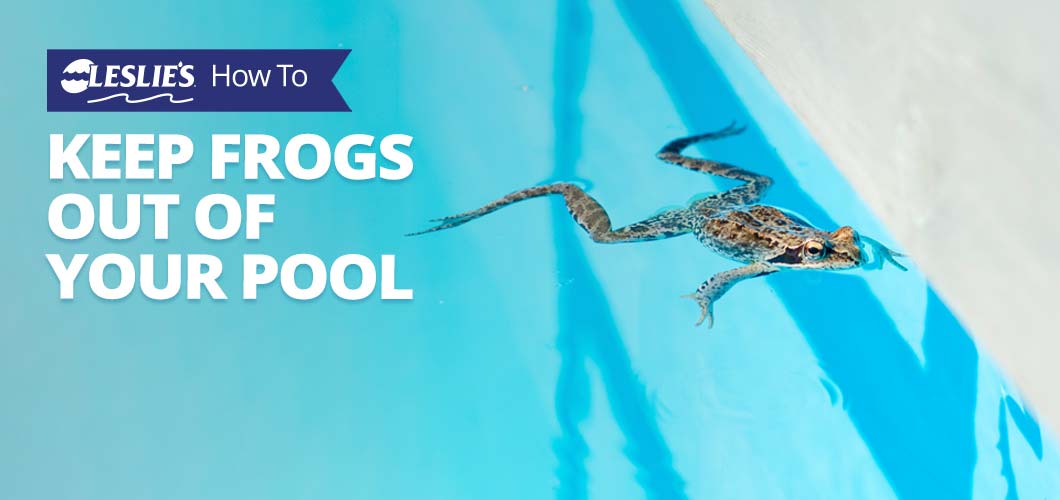 How to Get Rid of Frogs in Pool: Quick & Easy Solutions