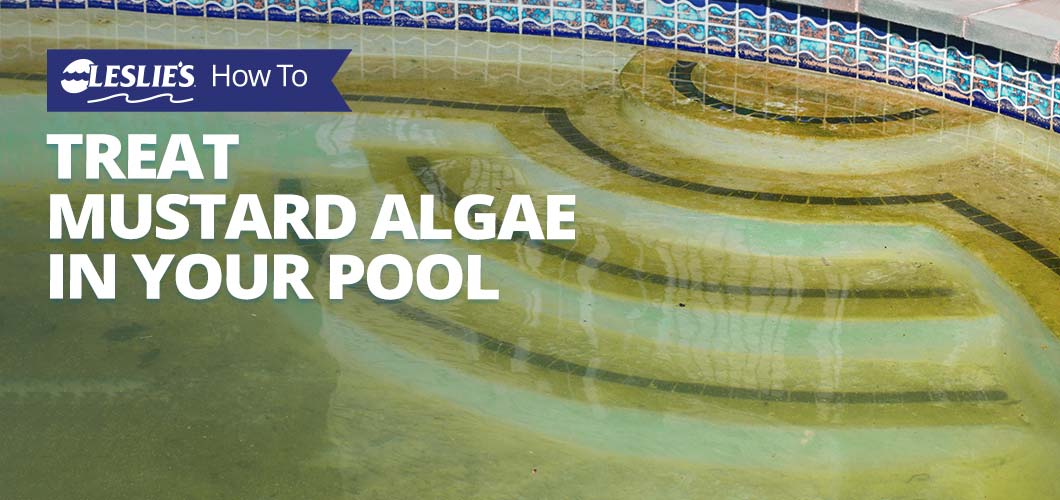 How to Treat Mustard Algae in Your Pool