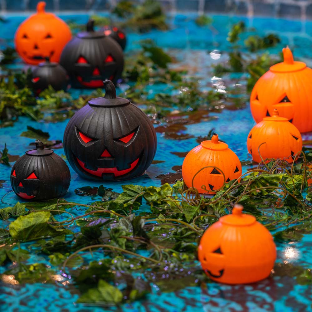 Halloween pumpkins in a pool