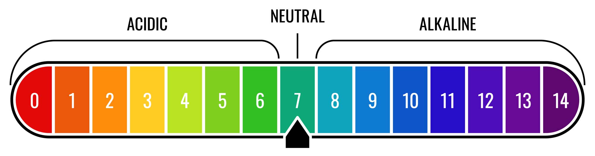 How to Balance pH Levels in Pool: Expert Tips Unveiled