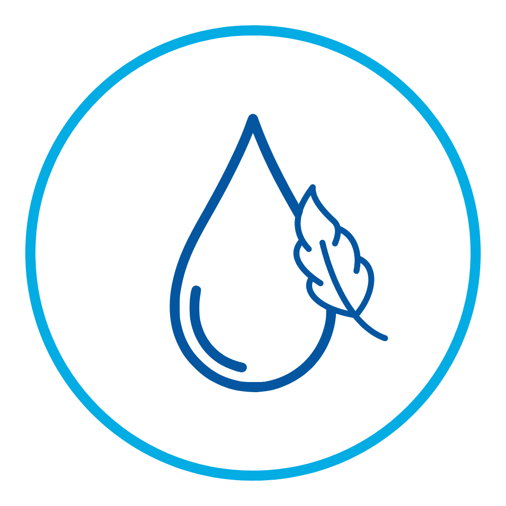 soften water
